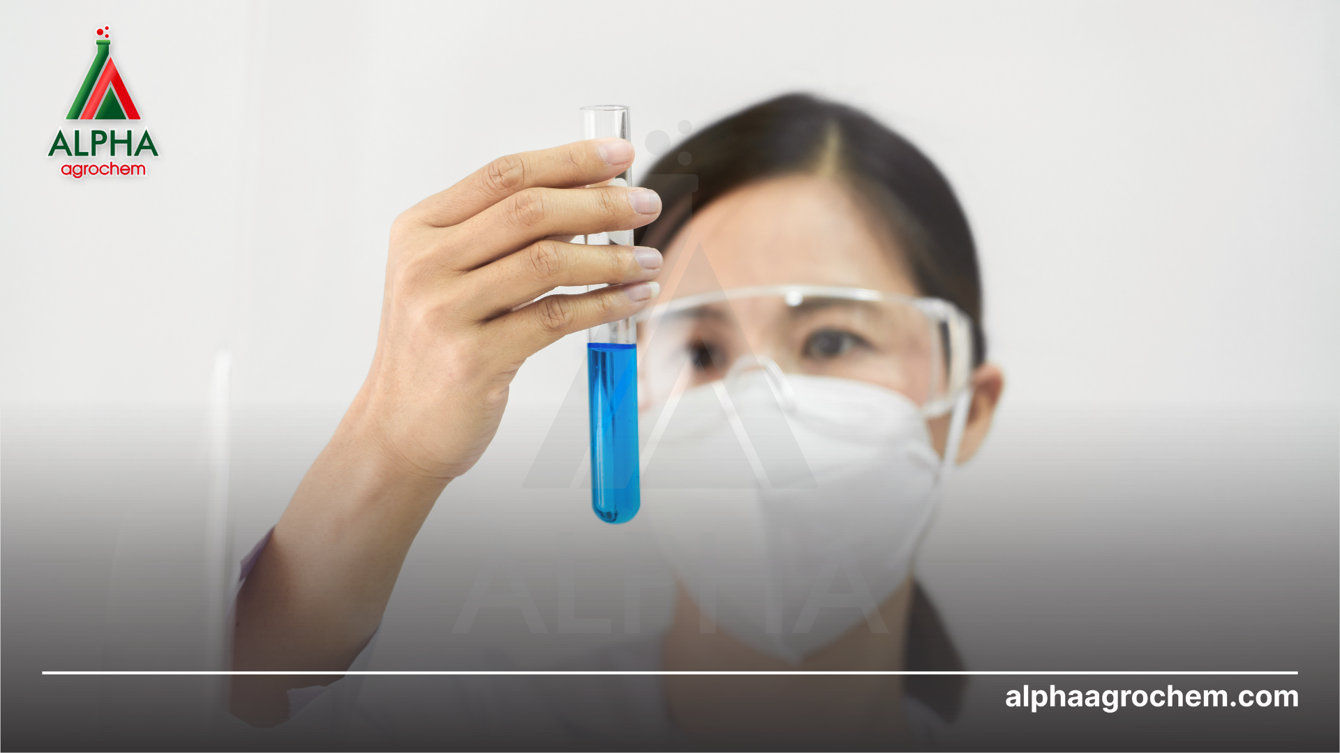 Hoạt chất Chlorfenapyr là gì Có vai trò gì trong nông nghiệp