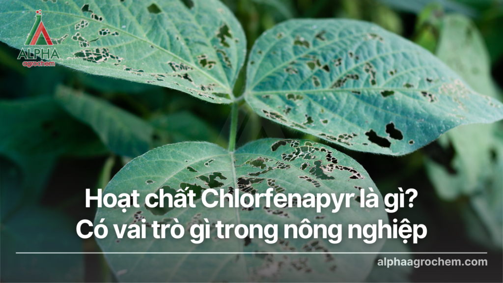 Hoạt chất Chlorfenapyr là gì? Có vai trò gì trong nông nghiệp