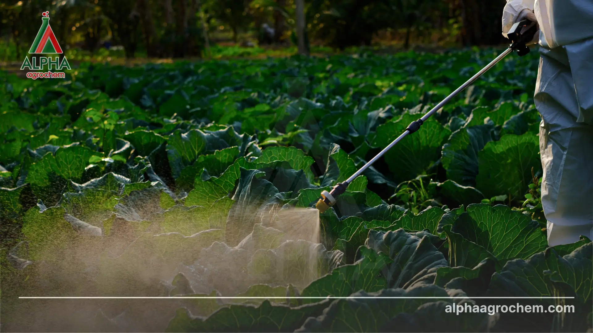 Hoạt chất Thiosultap-sodium là gì? Có vai trò gì trong nông nghiệp?