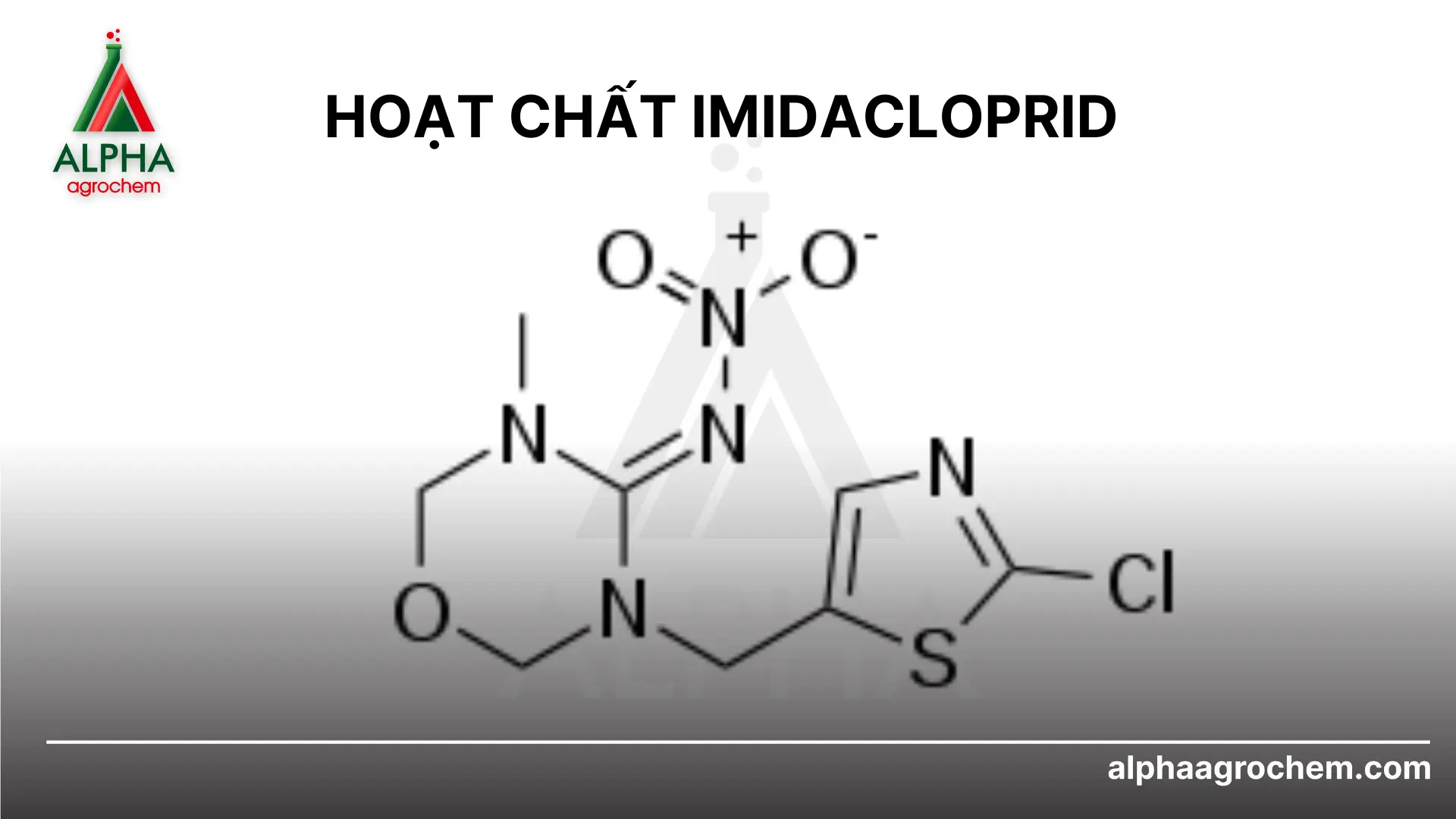Hoạt chất imidacloprid là gì Có vai trò gì trong nông nghiệp