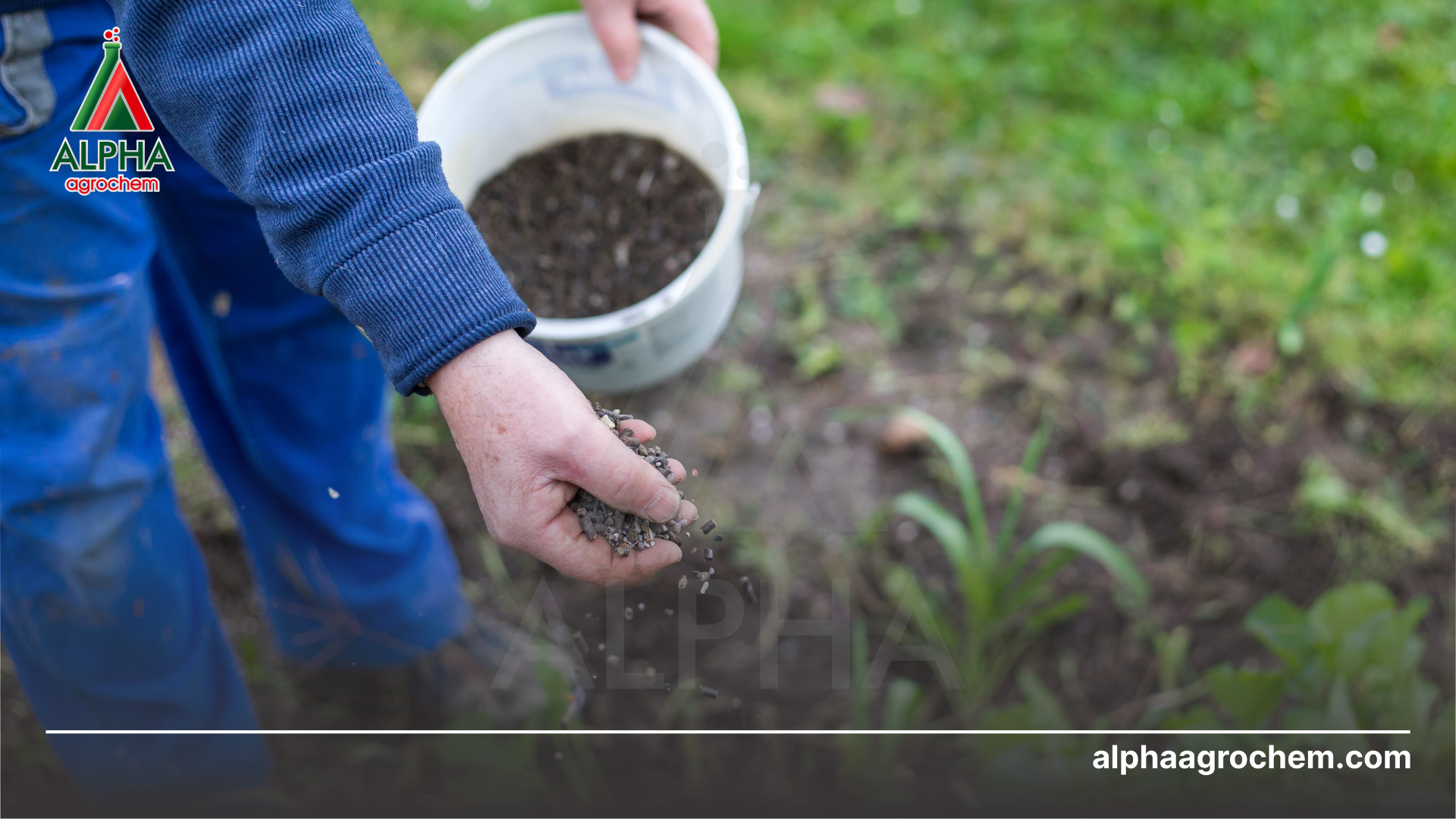  Axit Fulvic là gì Vai trò của Axit Fulvic đối với cây trồng - Alpha Agrochem
