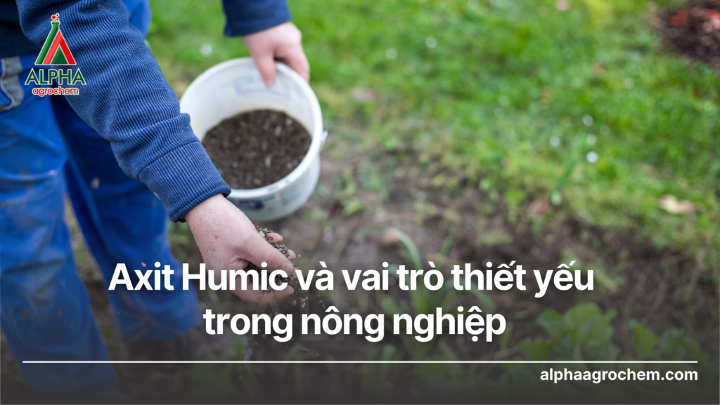 Axit Humic và vai trò thiết yếu trong nông nghiệp - Alpha Agrochem