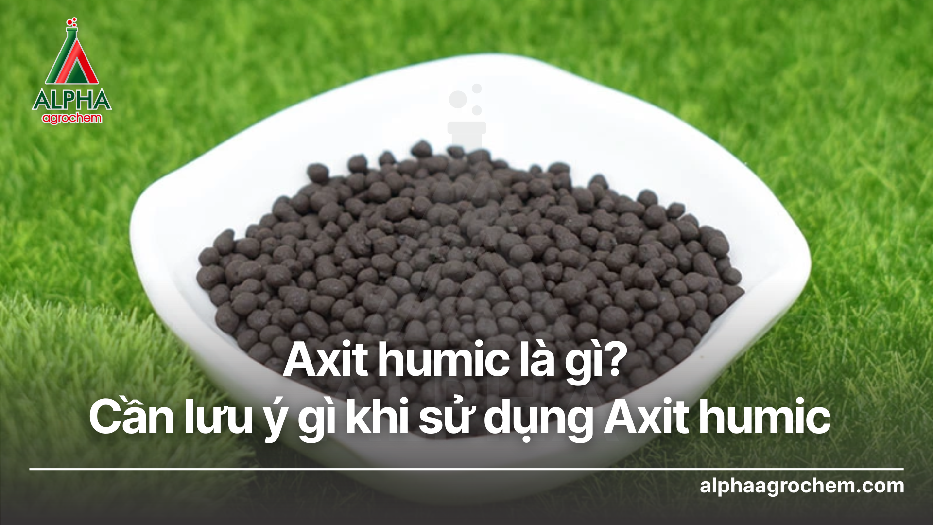 Axit humic là gì? Cần lưu ý gì khi sử dụng Axit humic - ALPHA AGROCHEM