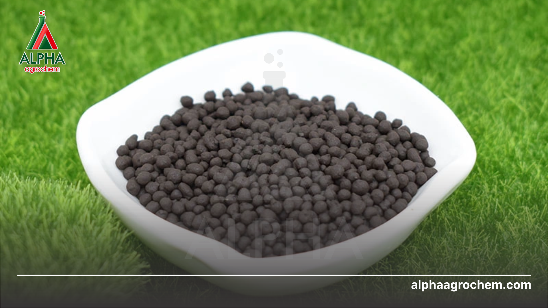
Axit humic là gì Cần lưu ý gì khi sử dụng Axit humic - Alpha Agrochem