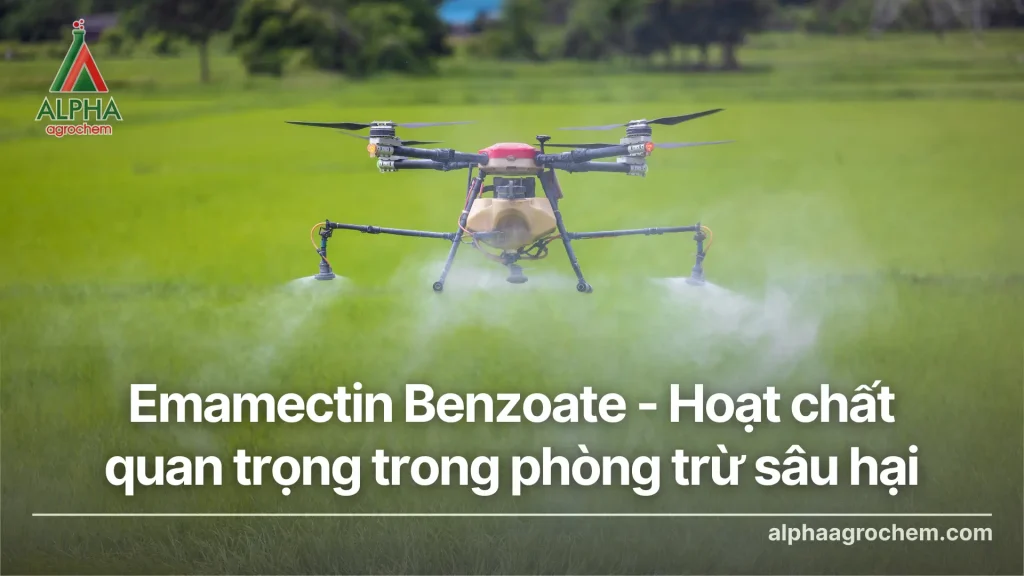 Emamectin Benzoate - Hoạt chất quan trọng trong phòng trừ sâu hại