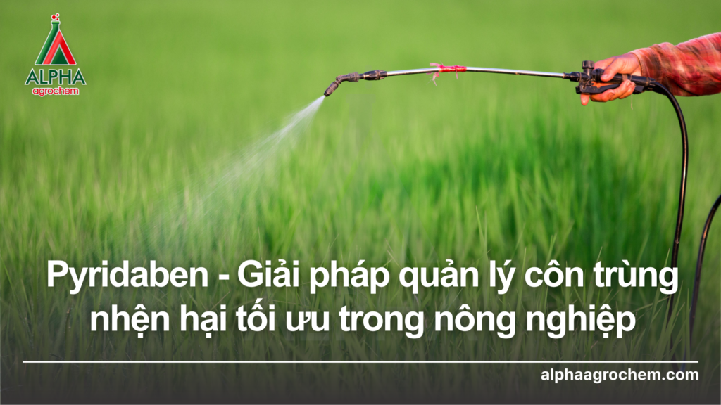 PYRIDABEN - Giải pháp quản lý côn trùng nhện hại tối ưu trong nông nghiệp