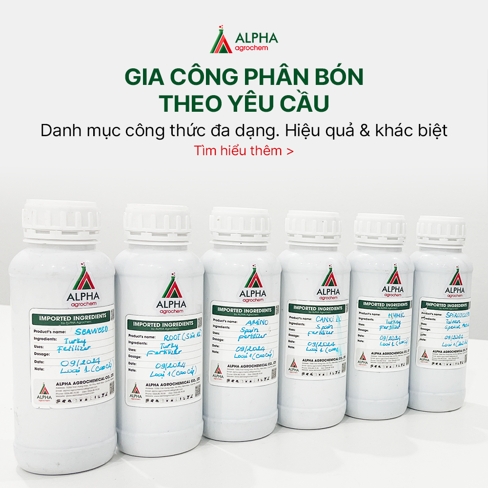 Gia công phân bón