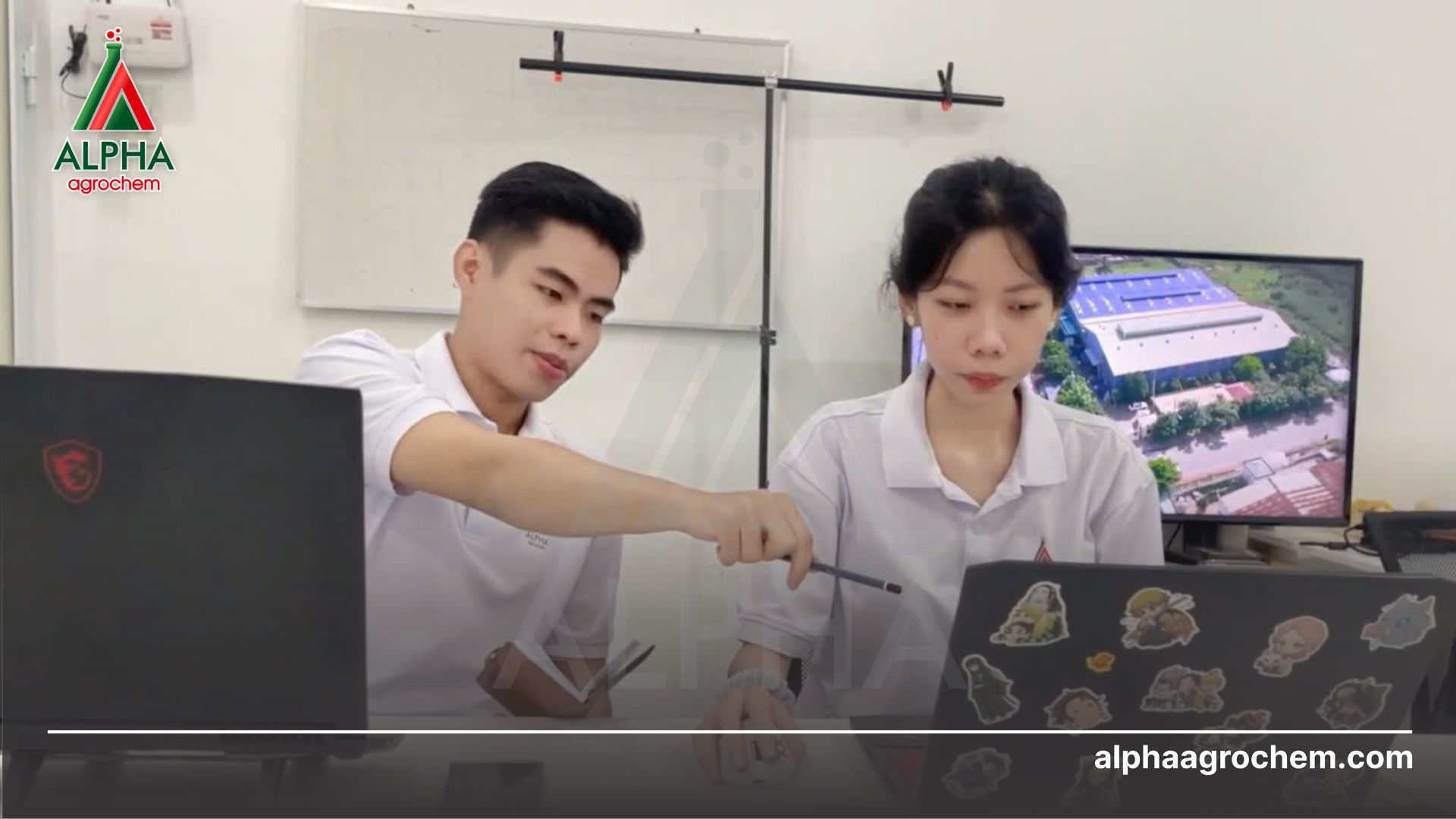 2 người làm việc cungf 2 laptop tại công ty