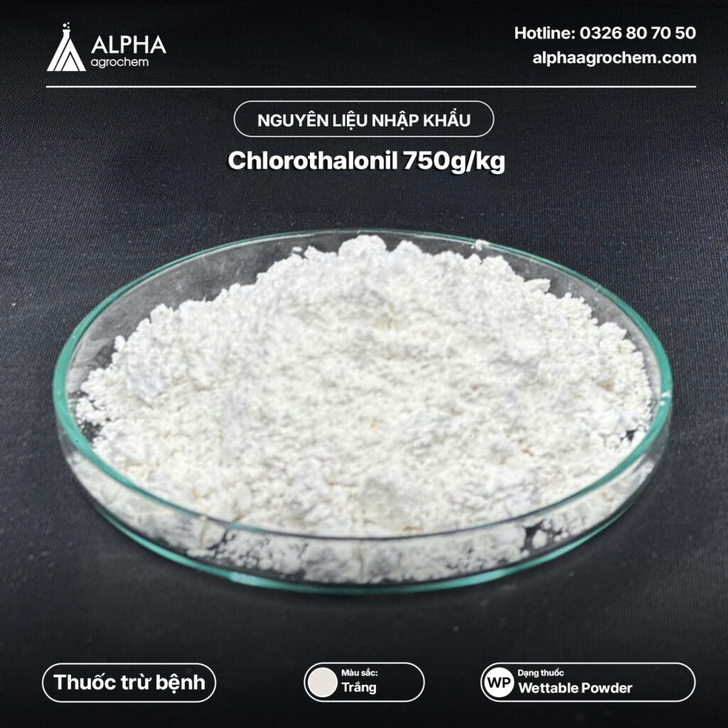 Thuốc trừ bệnh - Chlorothalonil 750g/kg - THALONIL 75WP - ALPHA AGROCHEM