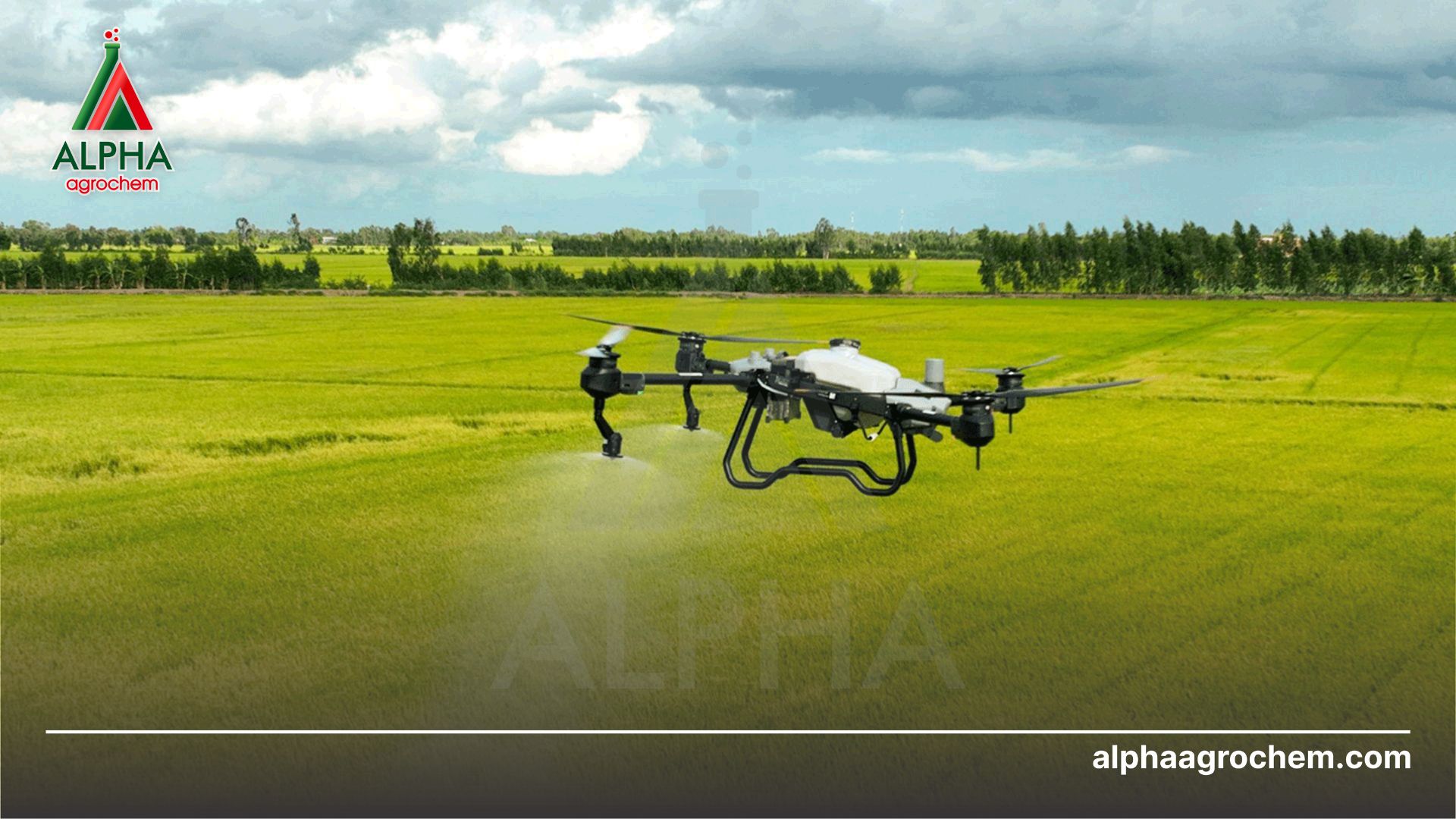 nông dân phun Thuốc trừ bệnh - Hexaconazole 50g/l - MEKONGVIL 5SC HOANGANHVIL 50SC