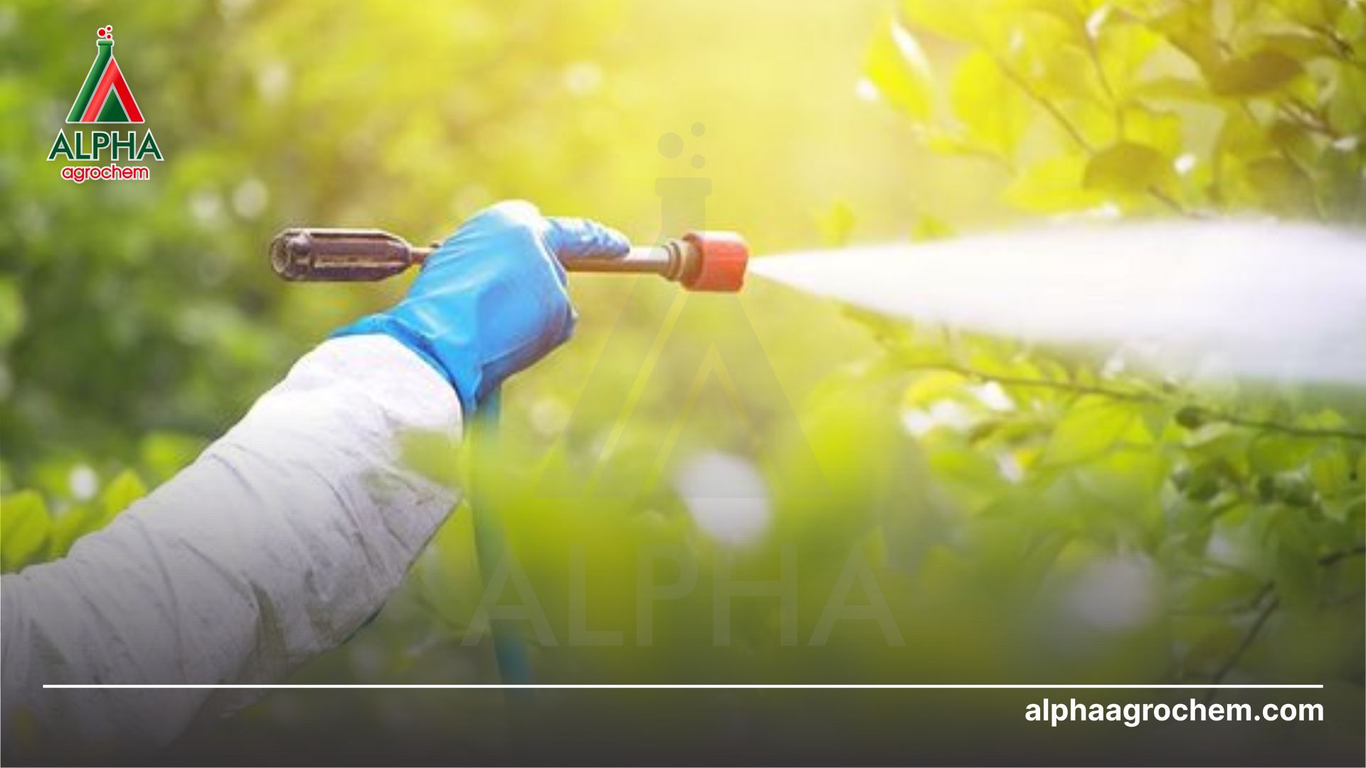 nông dân phun Thuốc trừ sâu - Pyridaben 150g/l - BIPIMAI 150EC