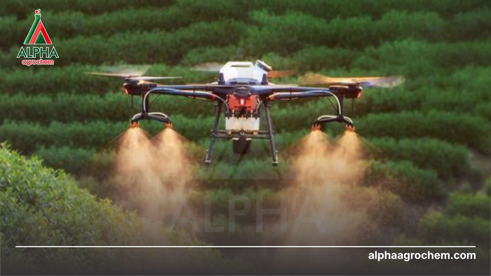 nông dân phun Thuốc trừ cỏ - Pretilachlor 350g/l - EUROFIT 350EC