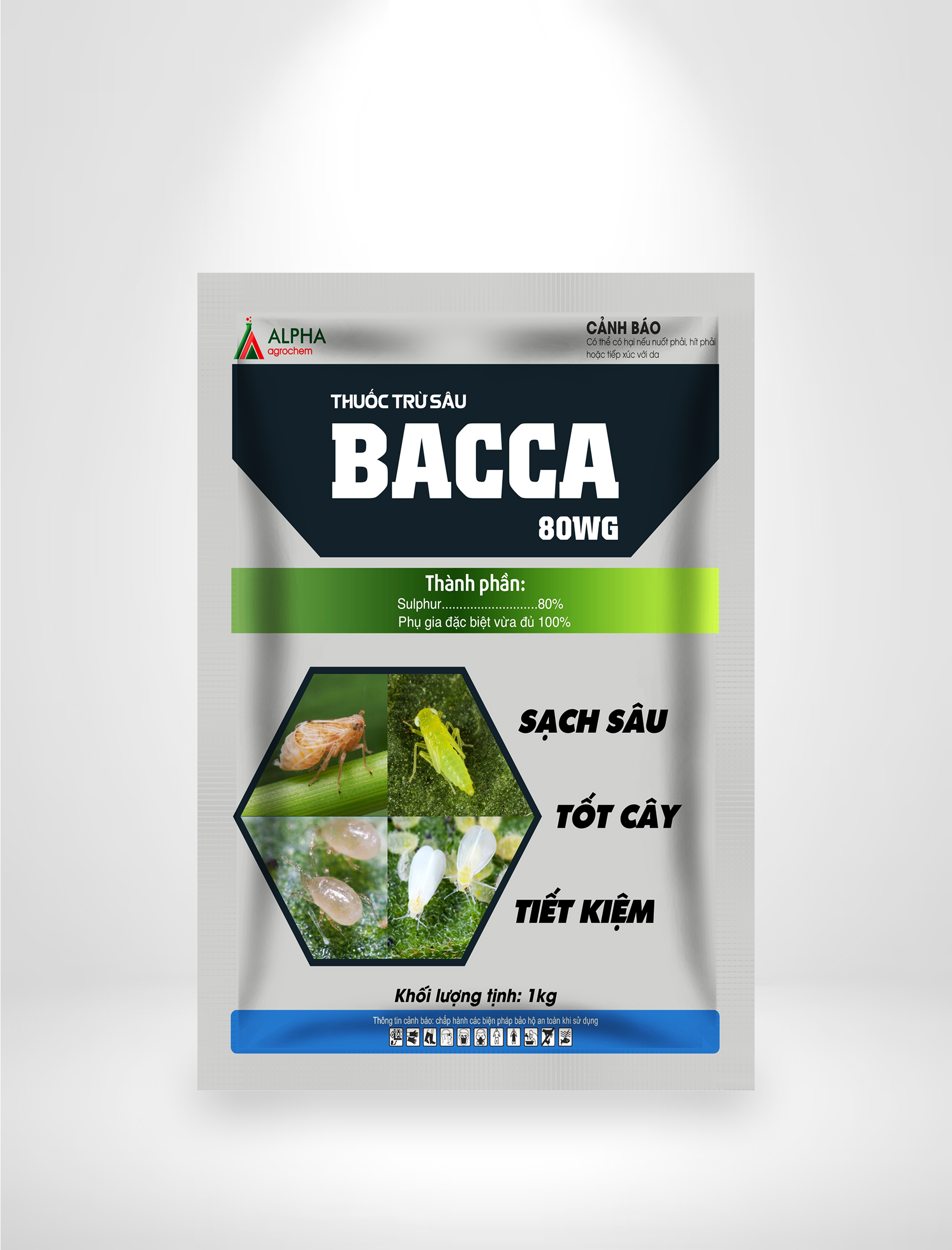 BACCA MOCKUUP