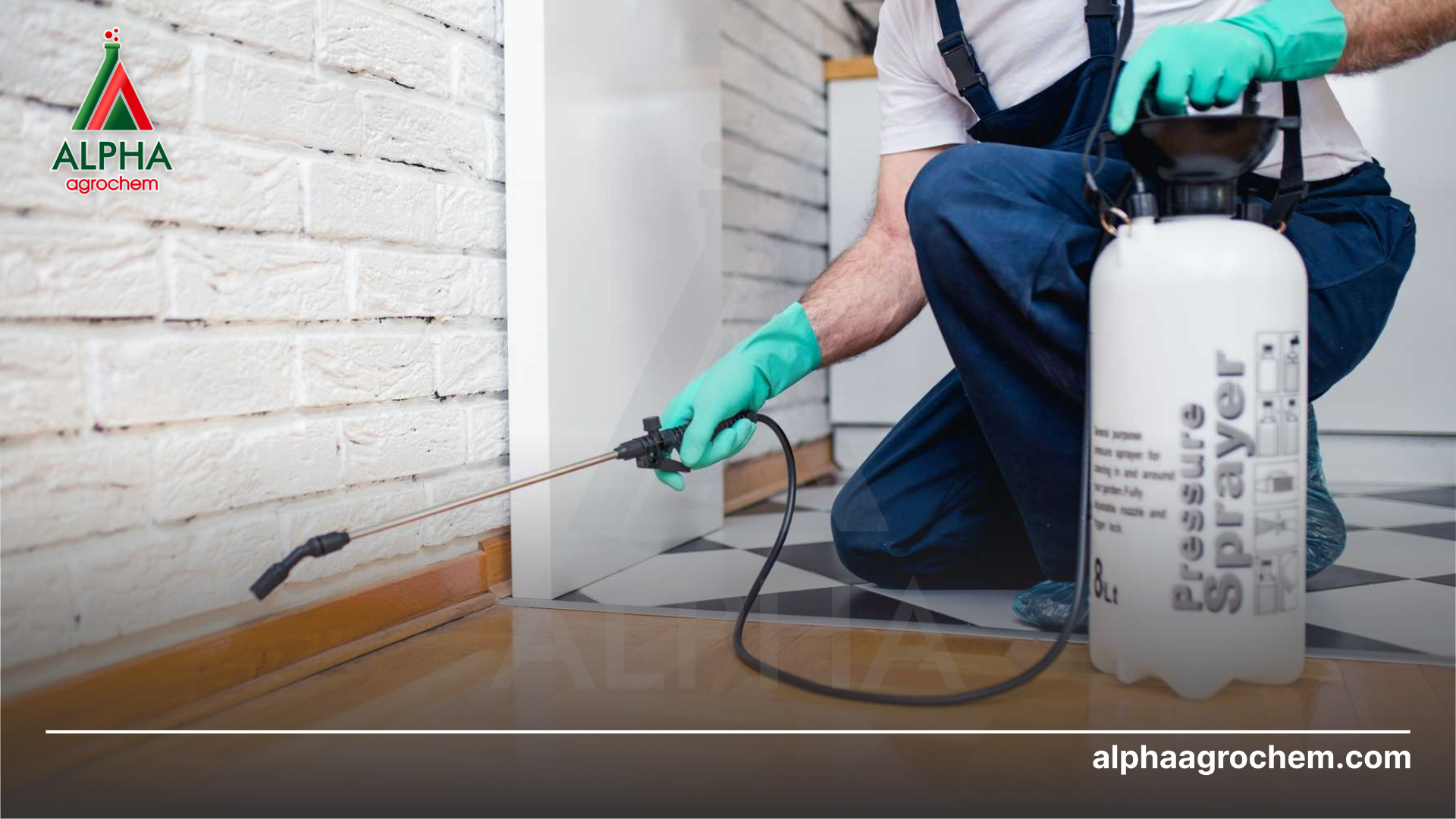 phun Chế phẩm INDO-A 13.5EC