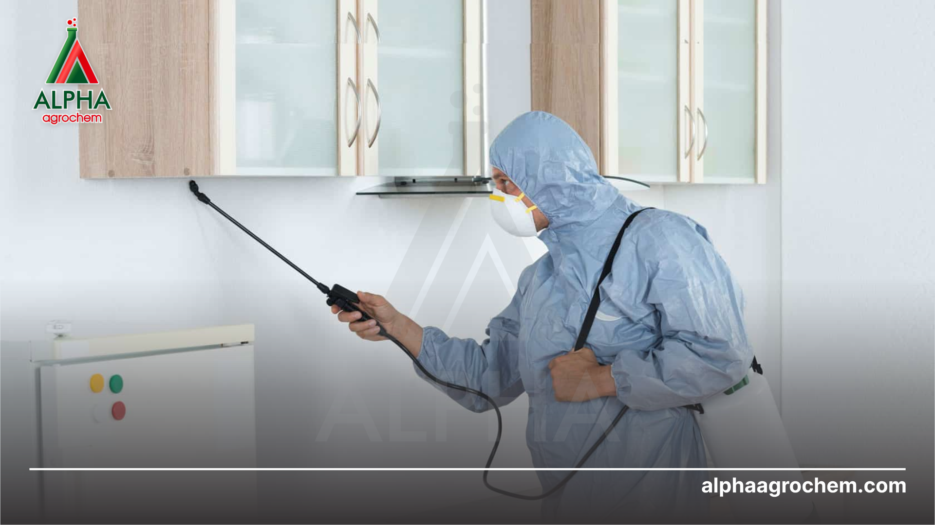 phun Chế phẩm CORTEN 260SC