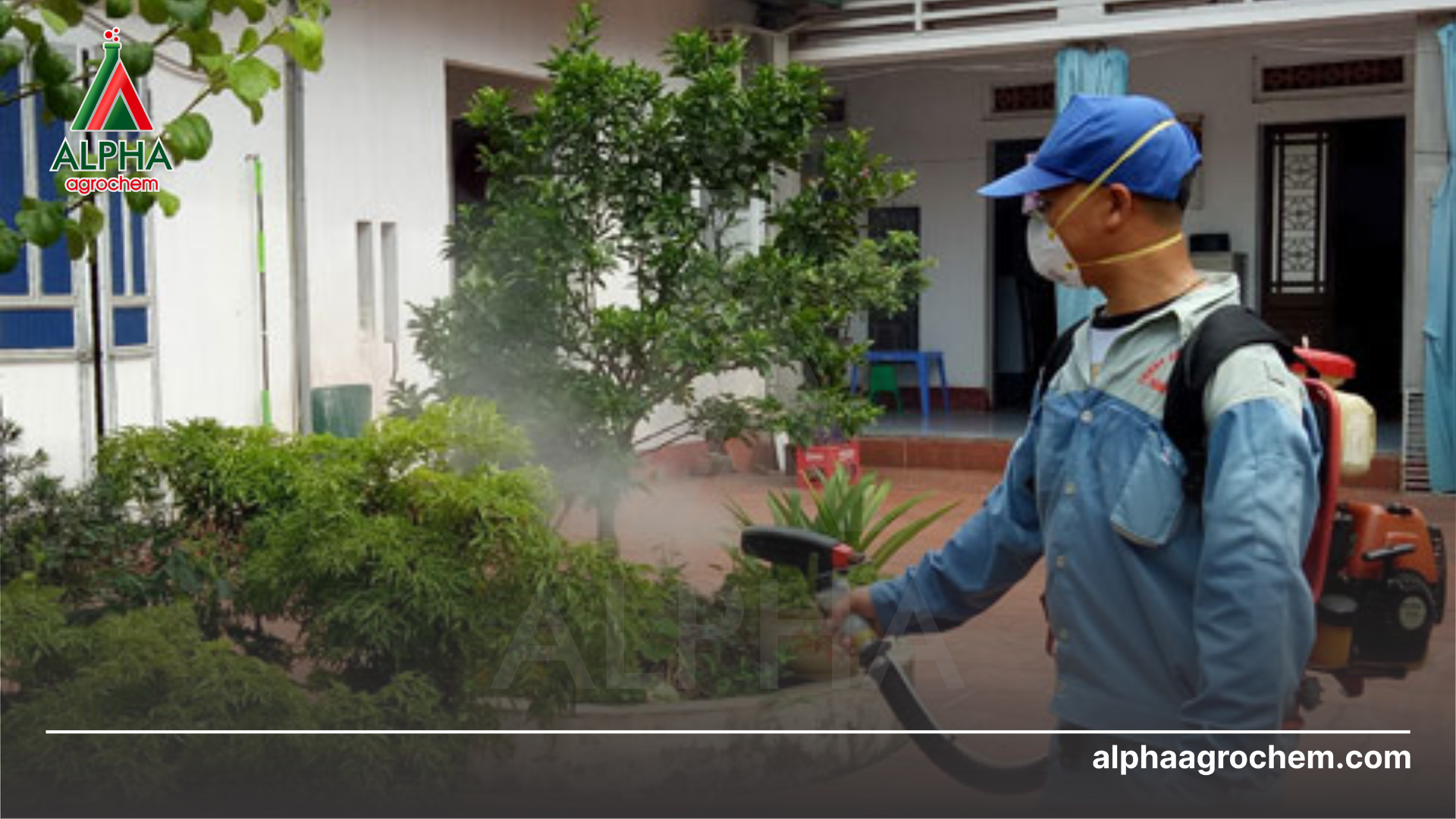 phun Chế phẩm PRESSING 22.5EC