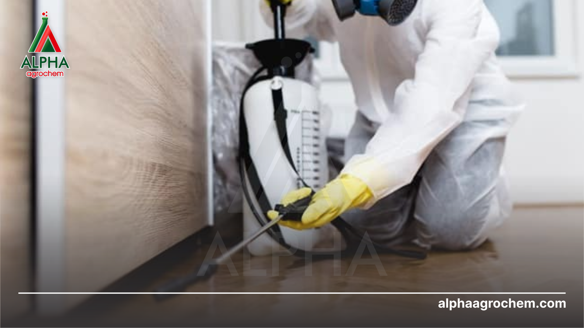 phun Chế phẩm MIKADO