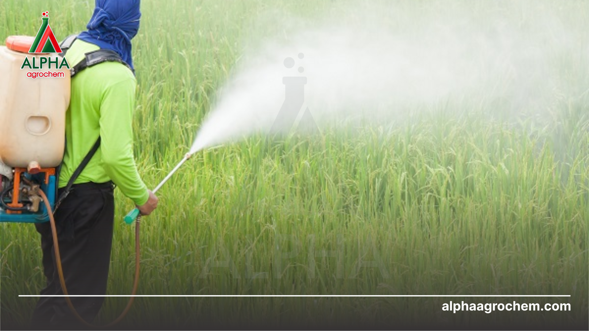 nông dân phun Thuốc trừ sâu ETO SPEED 200SC