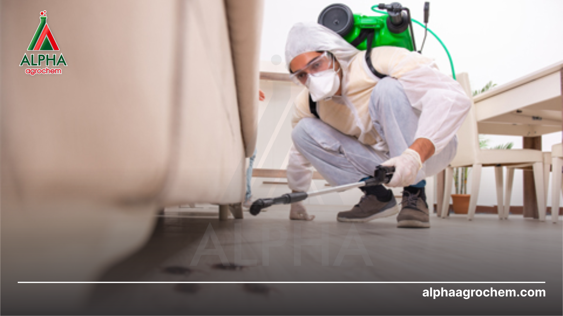 phun Chế phẩm ROSSI 15SC