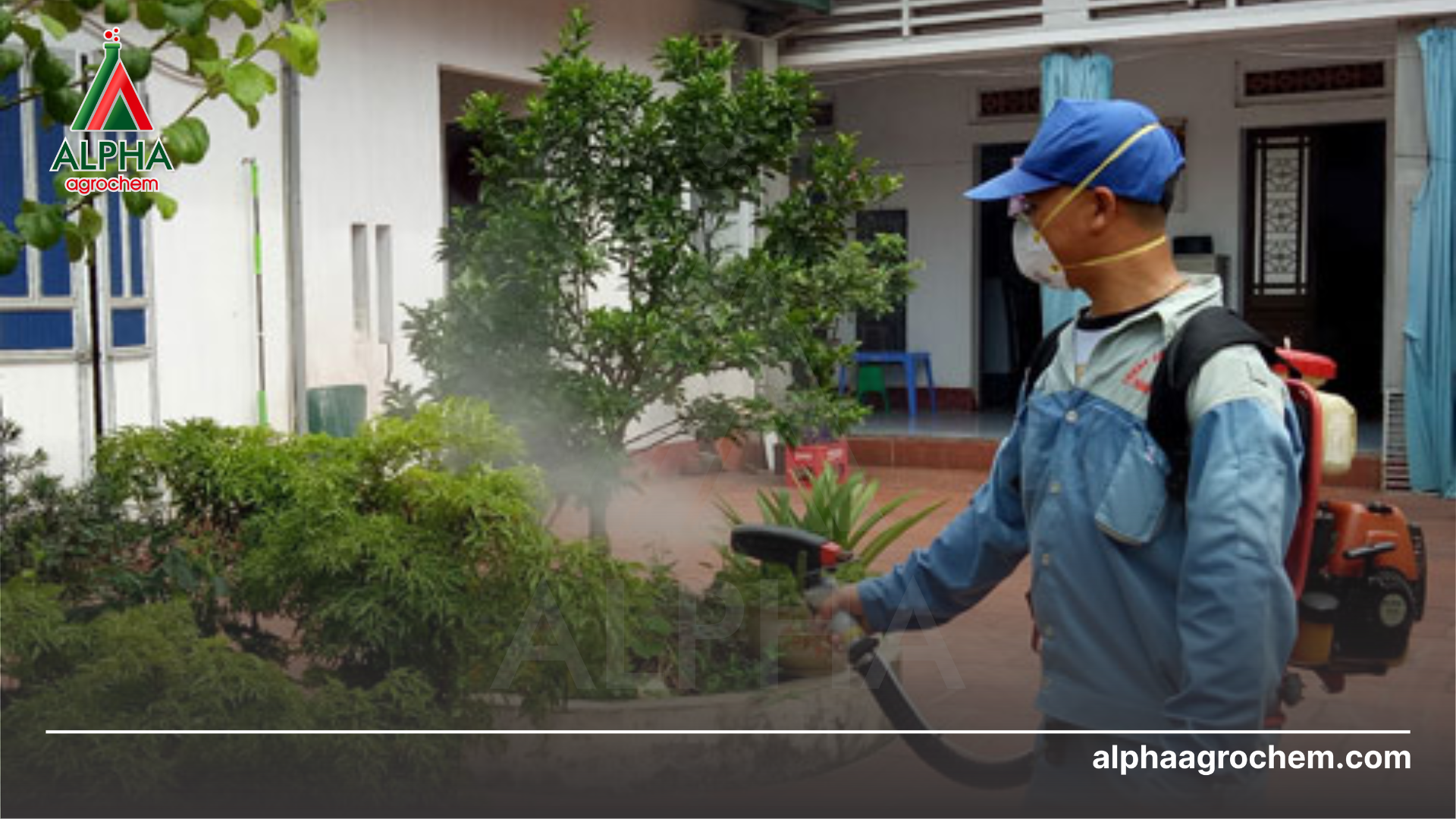 phun Chế phẩm MAGG KILL