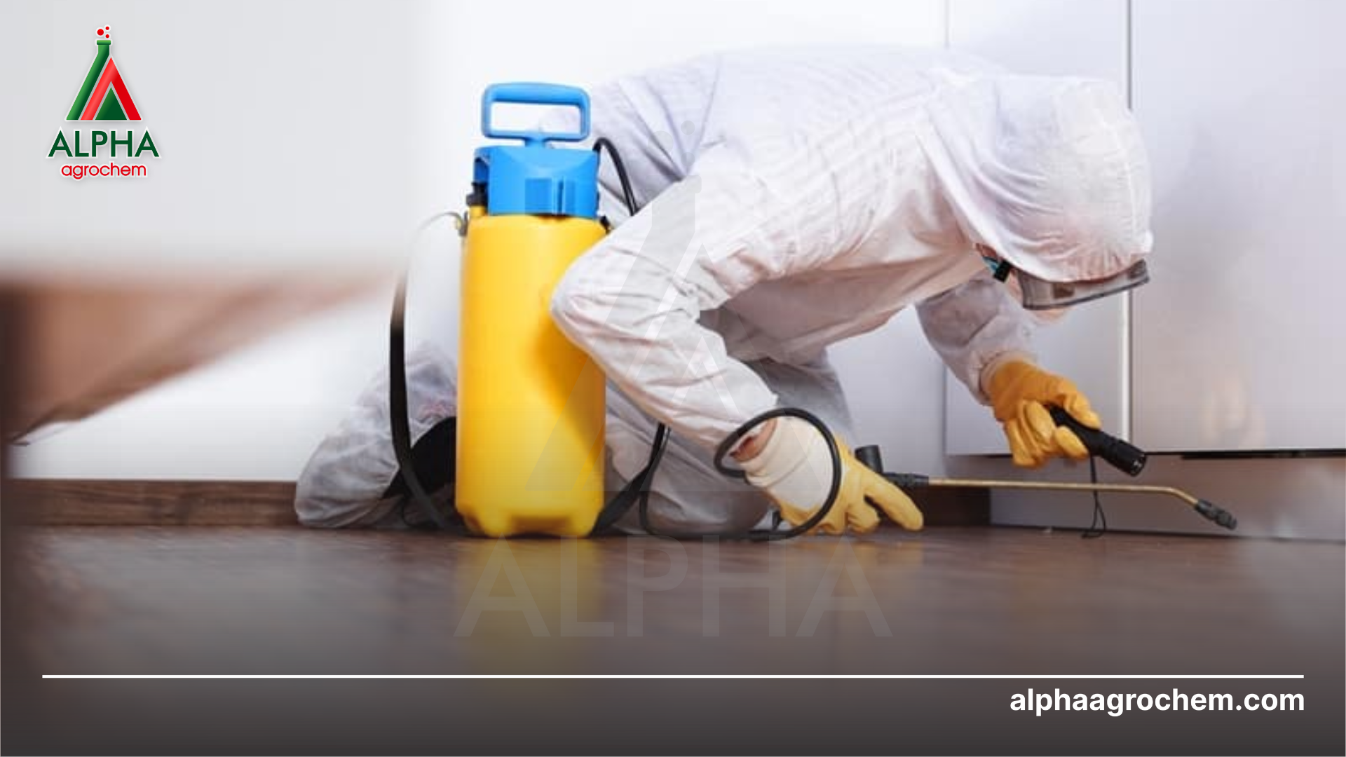 phun Chế phẩm ALABAMA 550EC