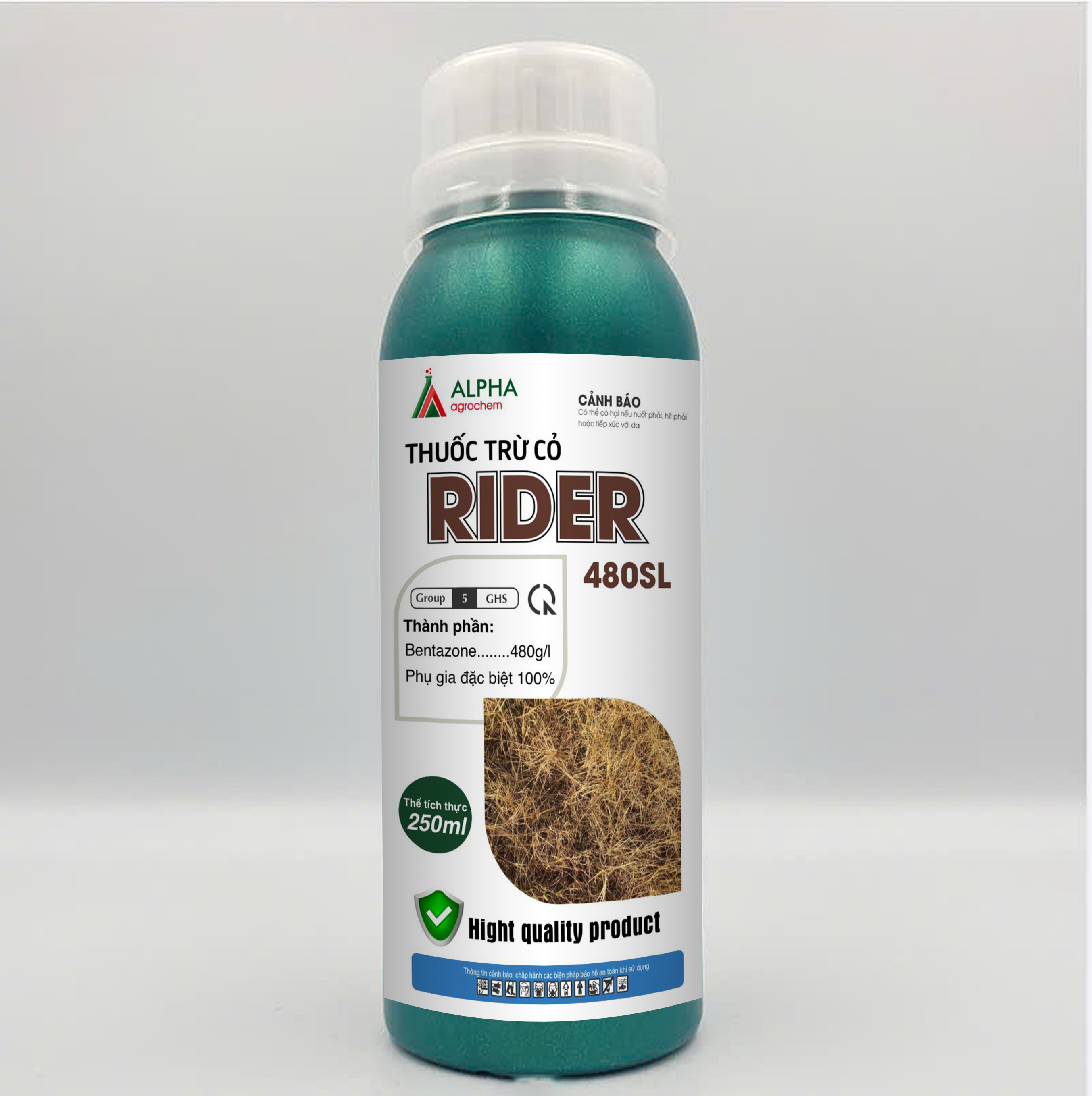 RIDER MOCKUP