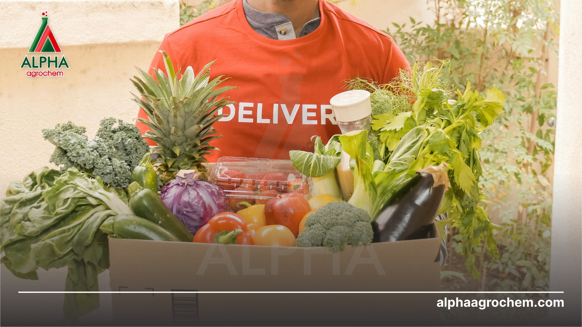 nông sản tươi ngon 