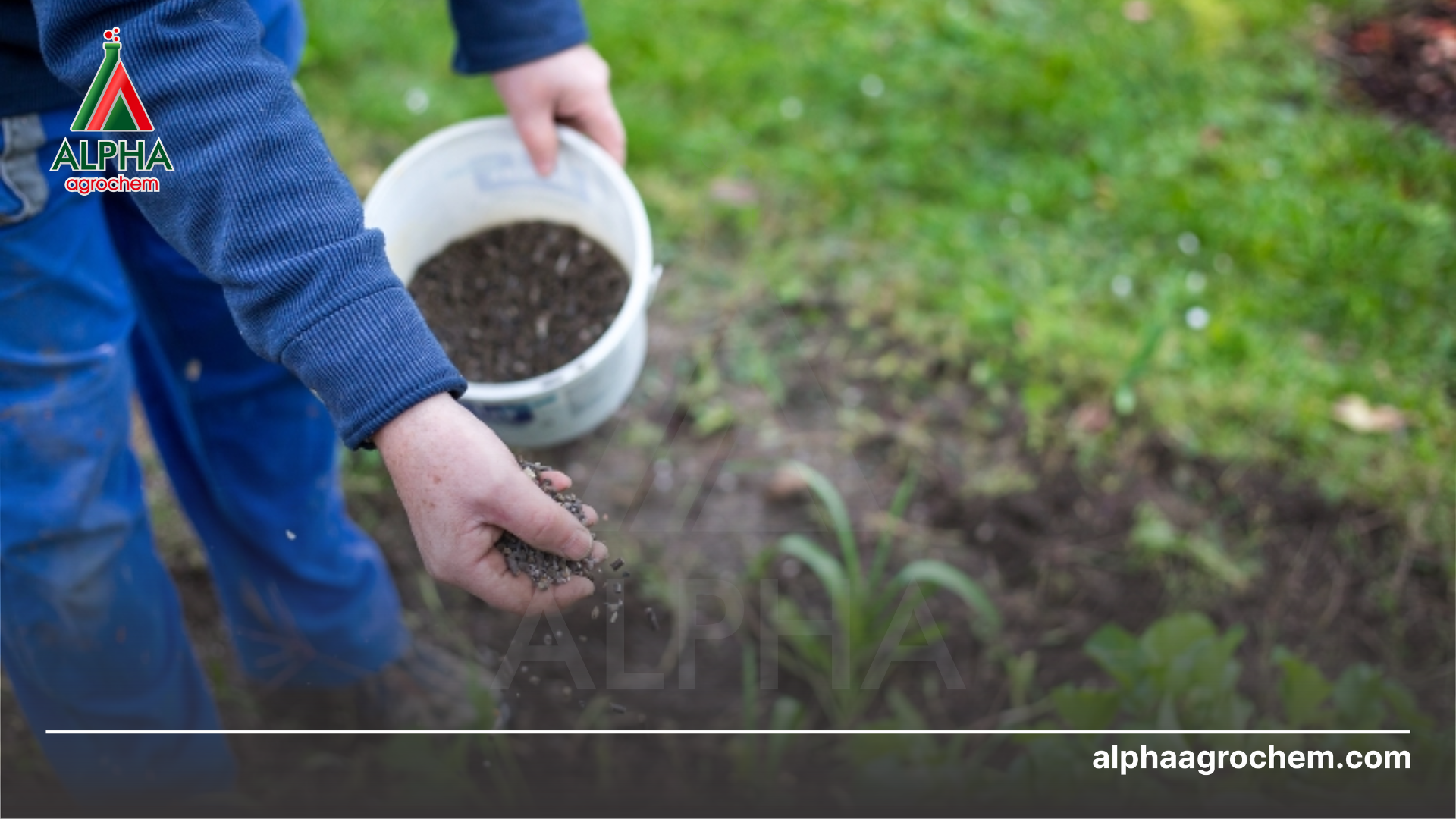 nông dân phun Phân bón DUBAI-MAP