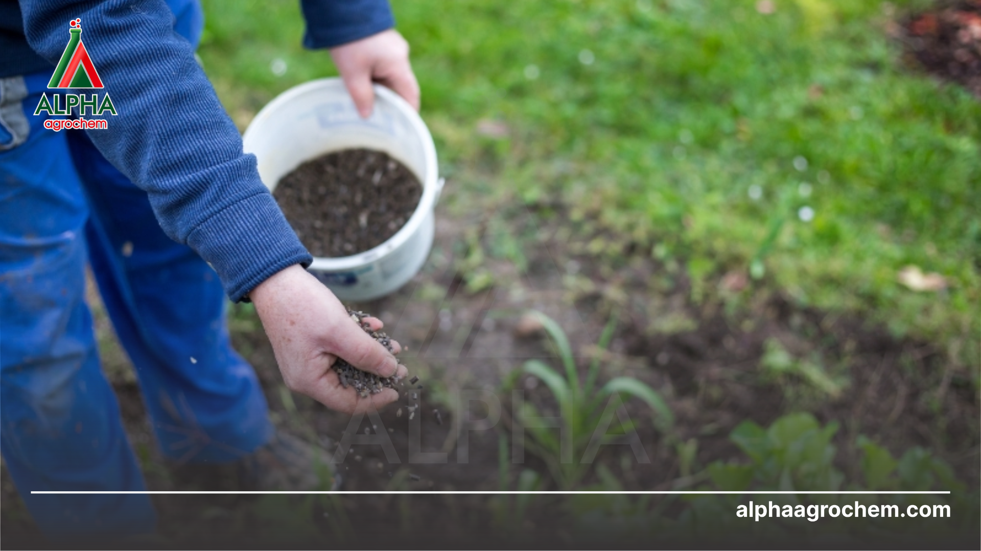 nông dân phun Phân bón hữu cơ Dubai 09