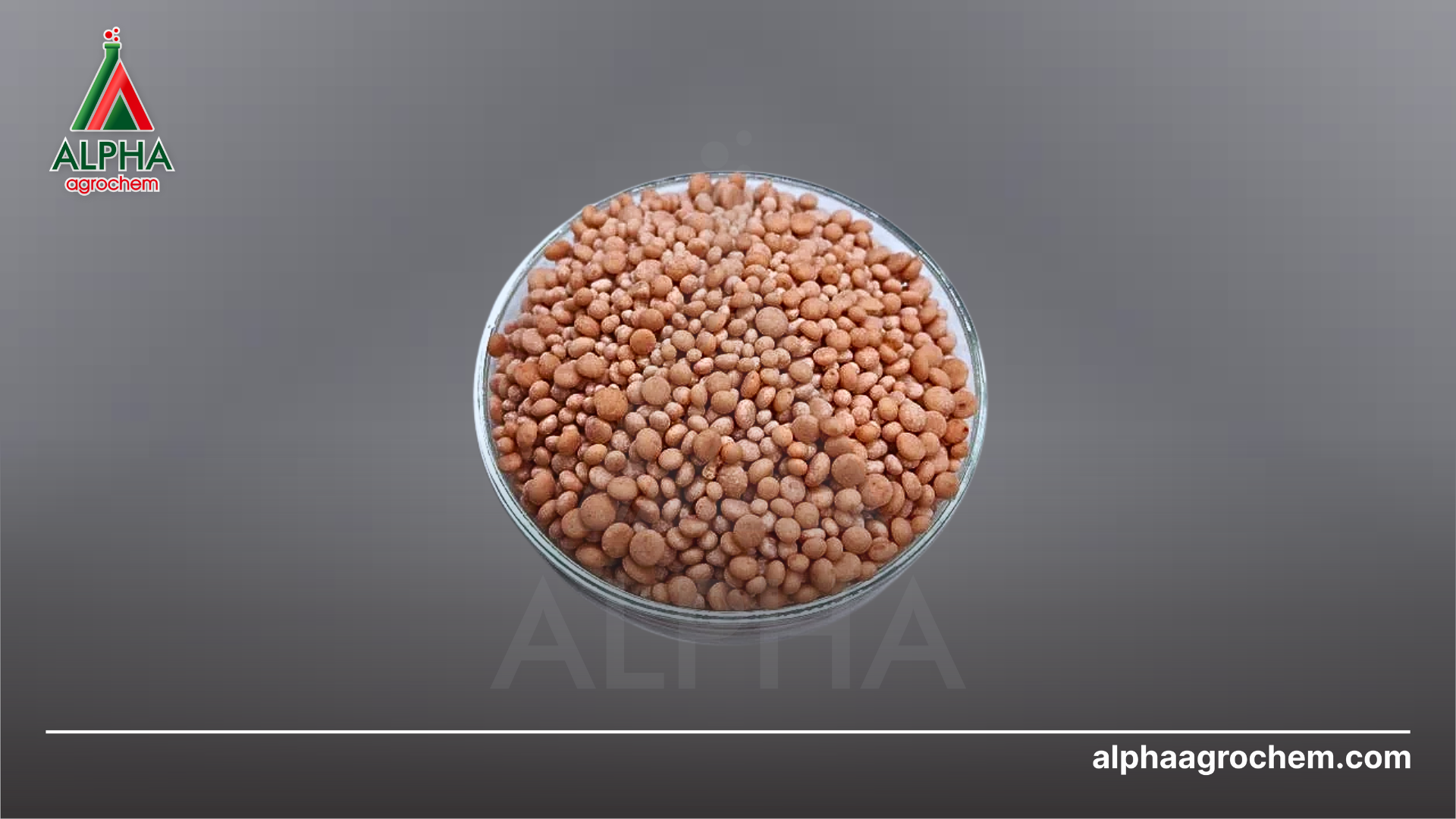 Phân bón Philip 20-10-20