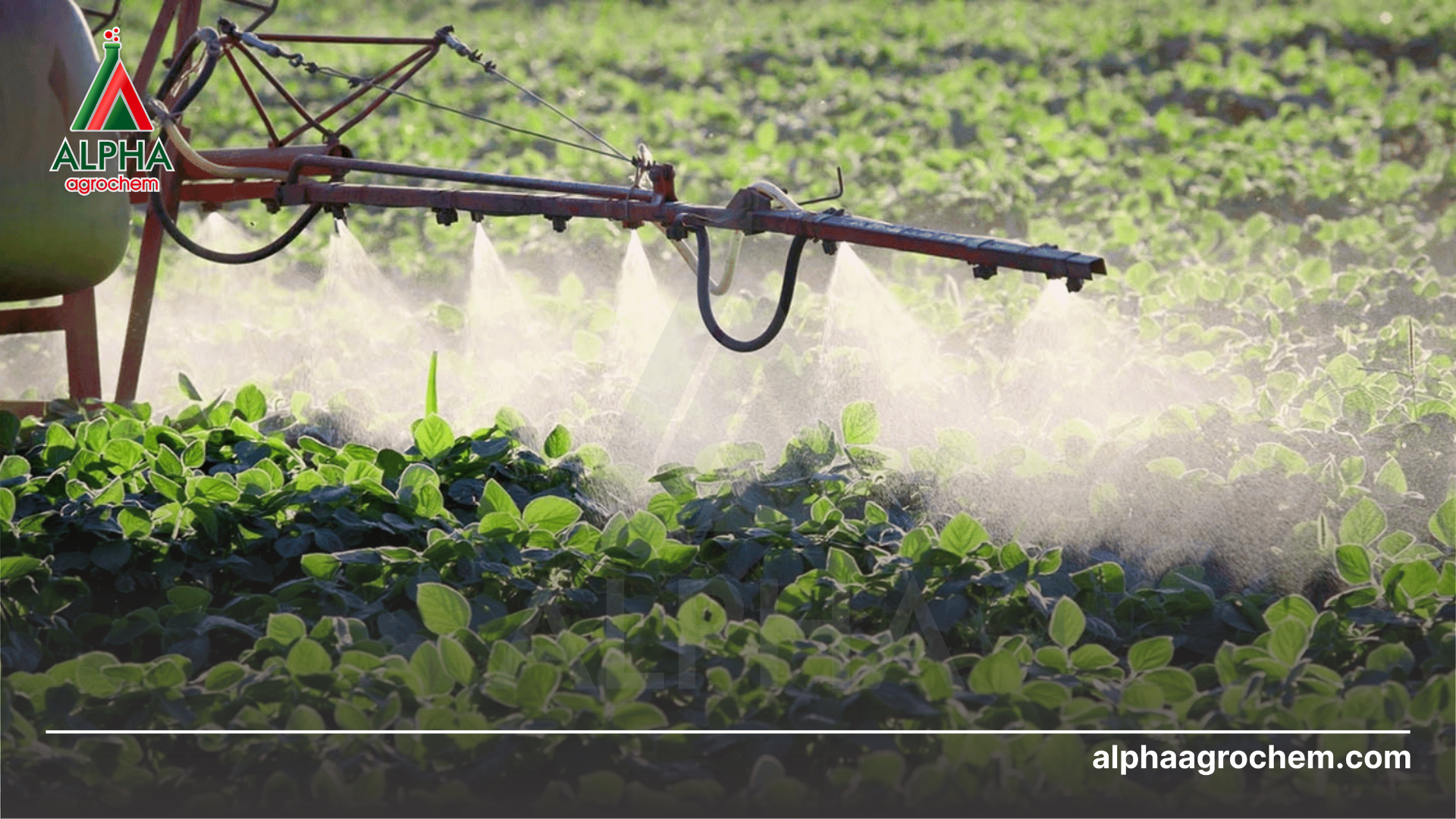 nông dân phun Phân trung lượng PVC Perfect