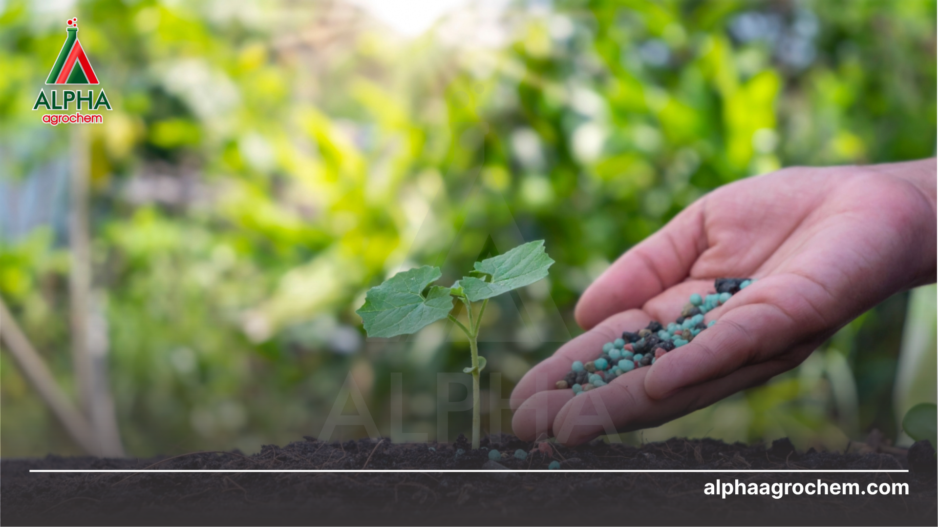 nông dân phun Phân bón vi lượng UAI AD03