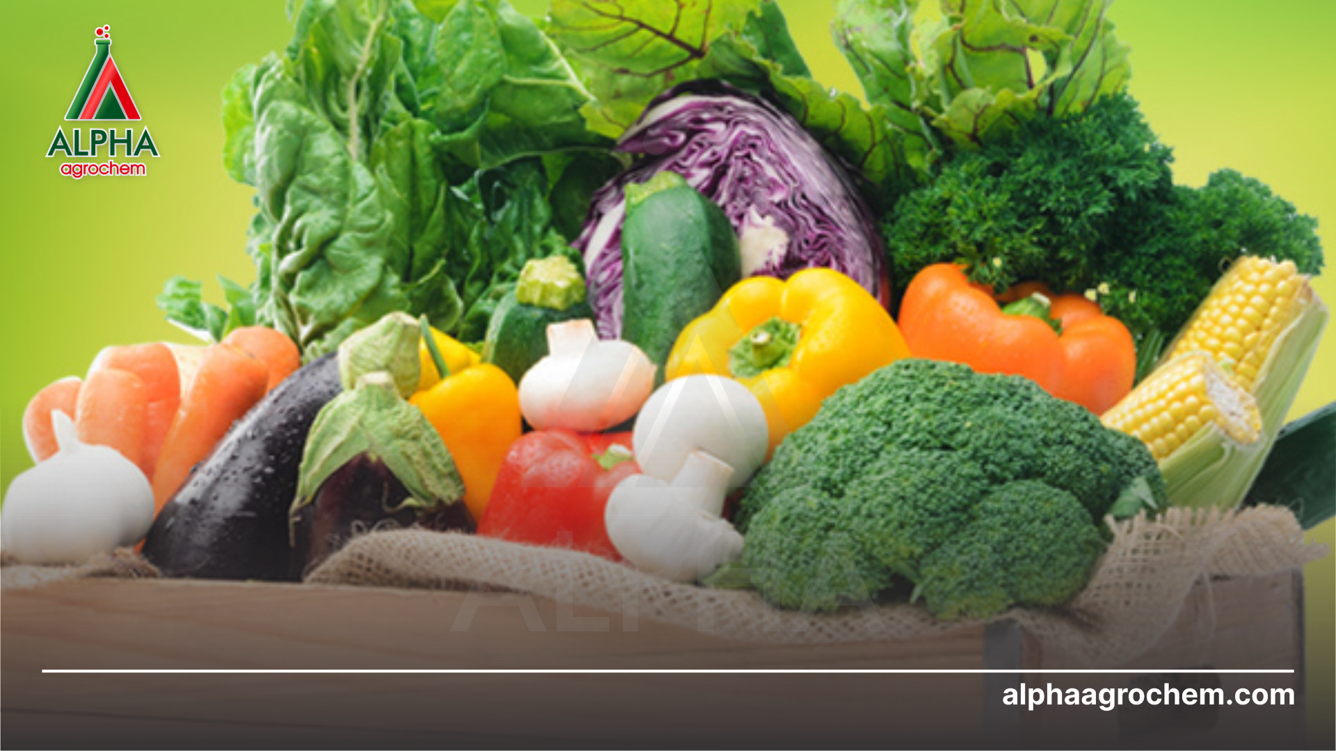 nông sản tươi ngon