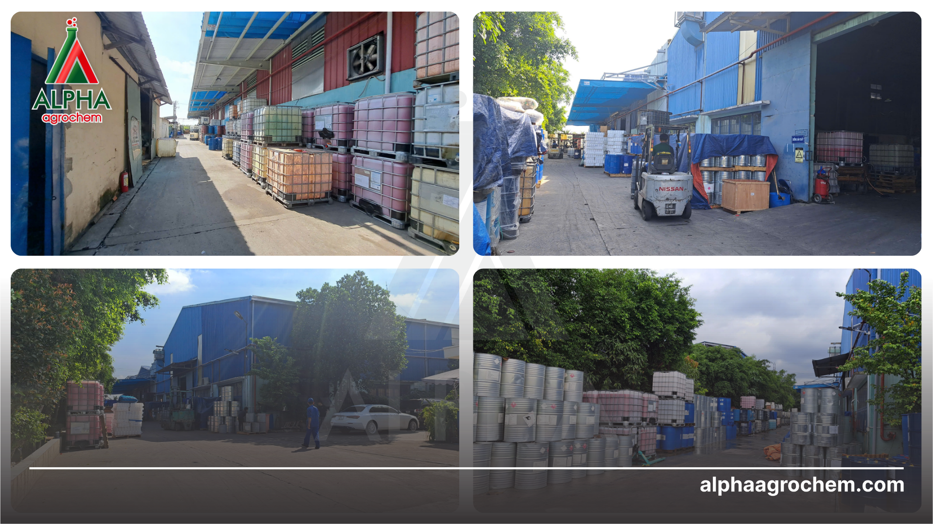 dịch vụ gia công thuốc bvtv tại alpha 