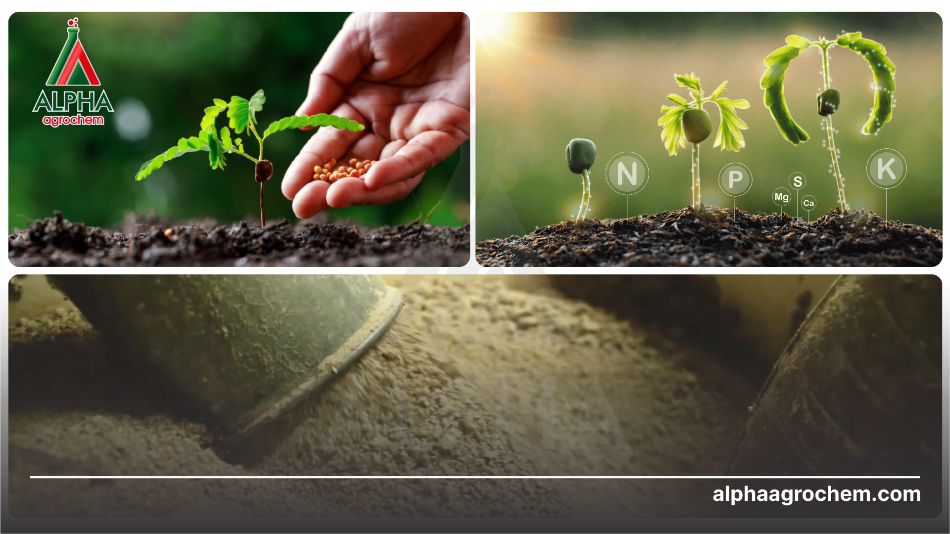 phân bón hữu cơ và vi lượng 