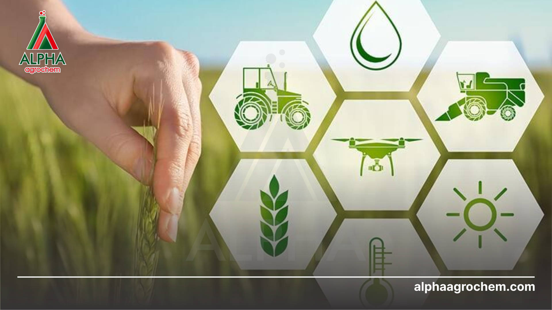 phát triển nông nghiệp bền vững