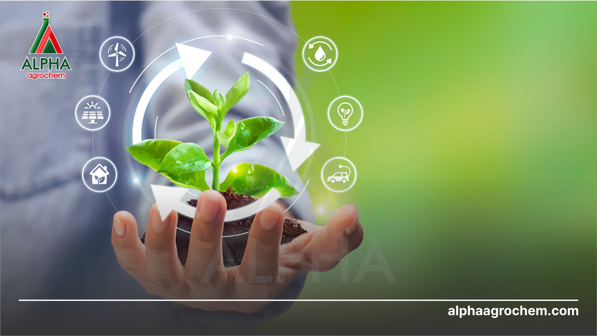 phát triển bền vững 