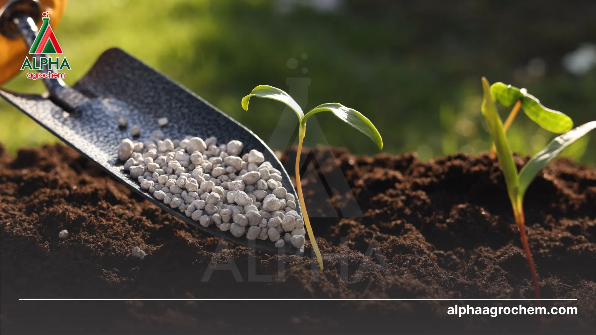 Bón phân hợp lý 