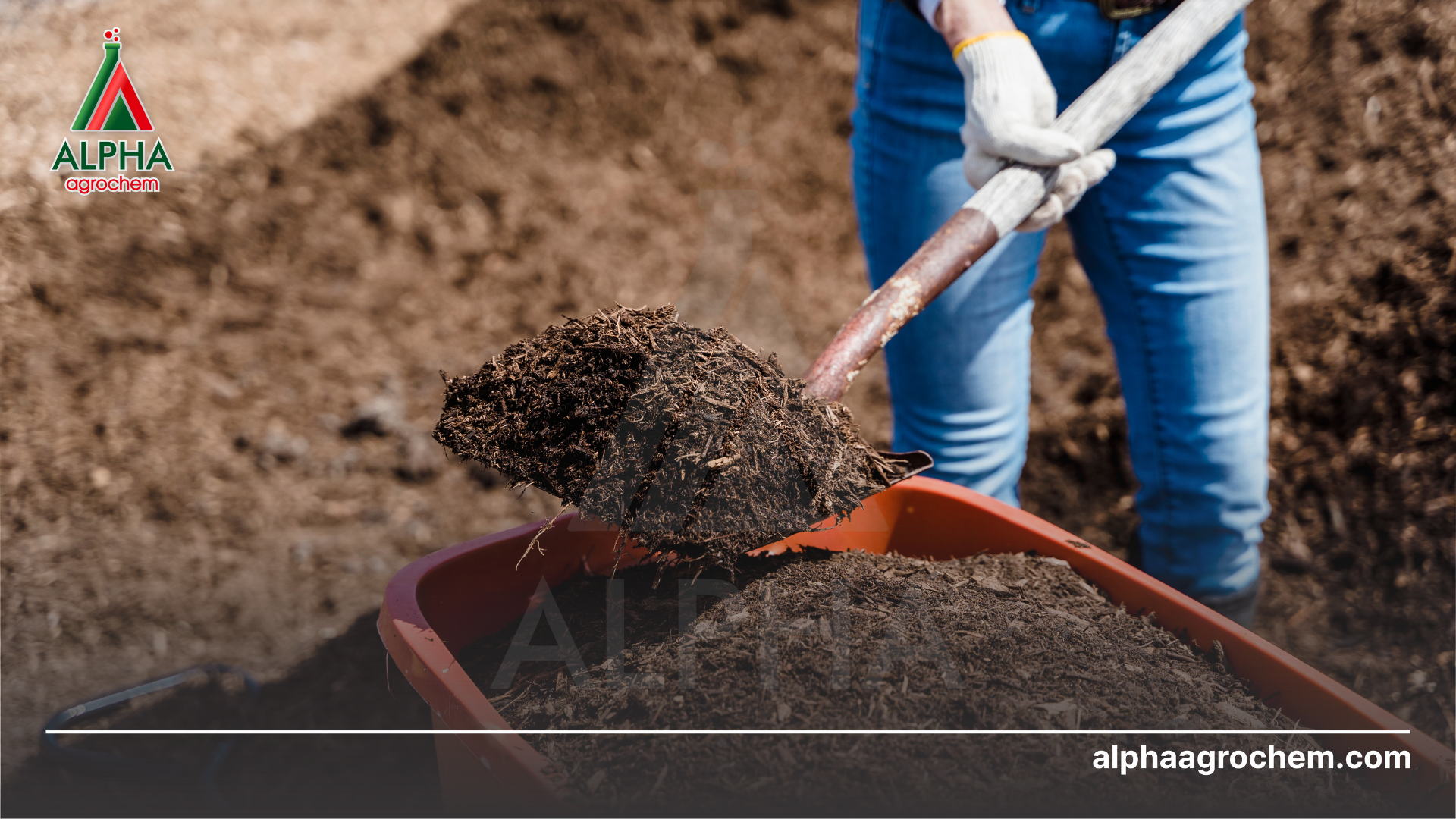 Cách phòng ngừa nấm rễ 