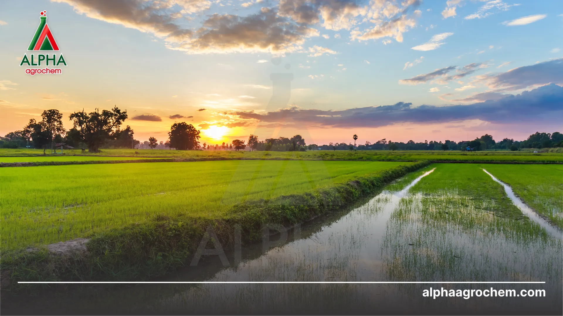 Điều kiện làm đất