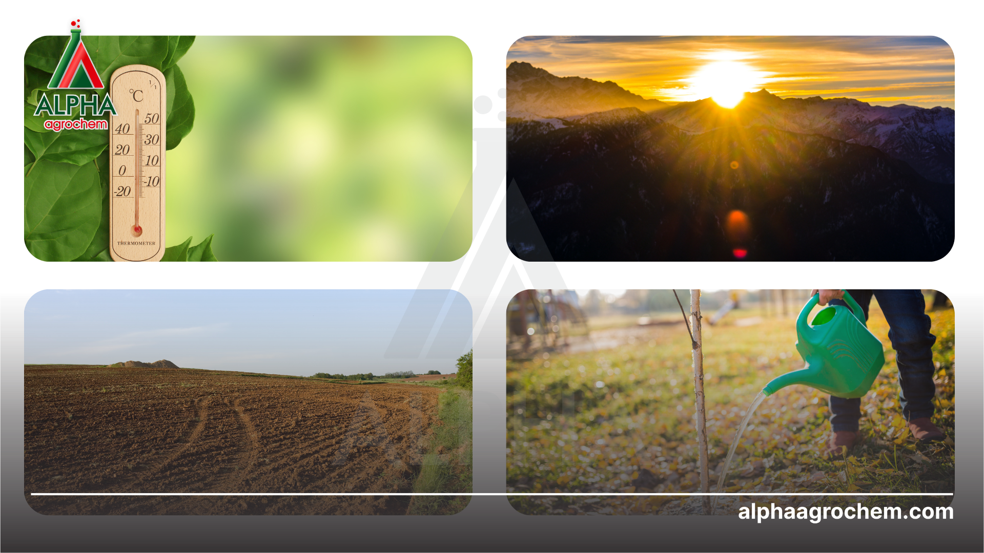 Điều kiện ngoại cảnh 