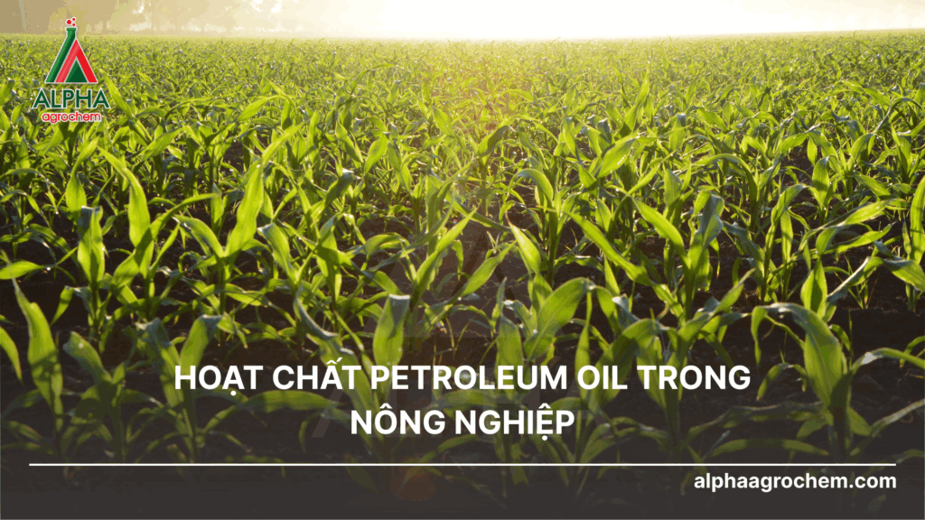 Hoạt chất petroleum oil