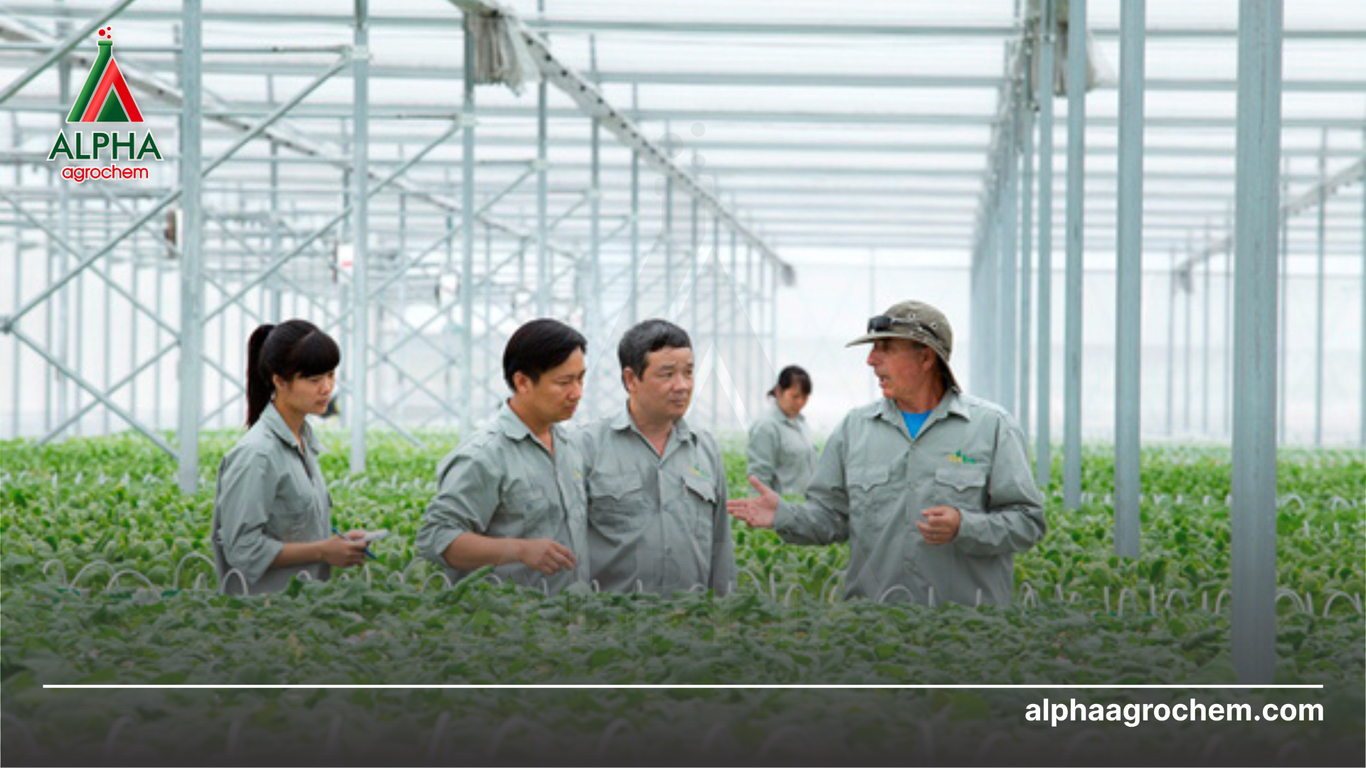 Khi nào nên sử dụng thuốc sinh học thay cho thuốc hóa học