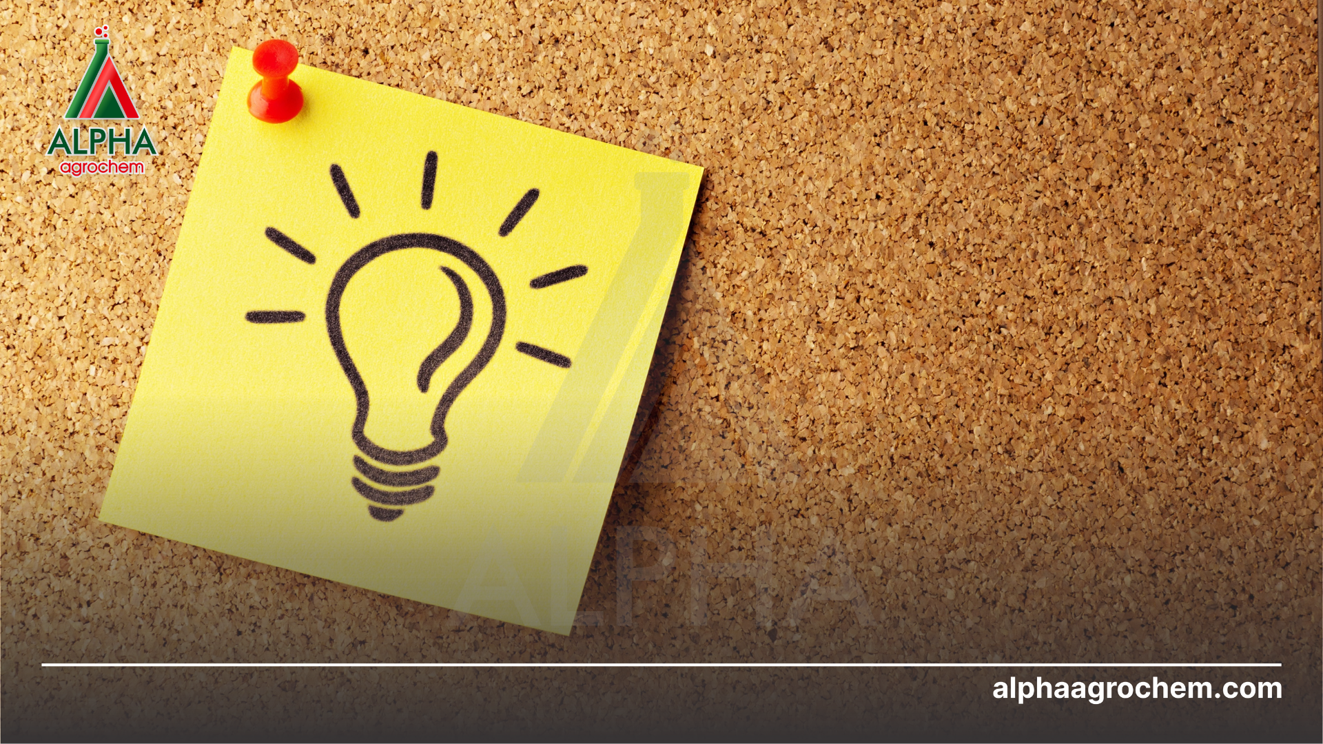 Lưu ý sử dụng thuốc trừ bệnh đúng cách