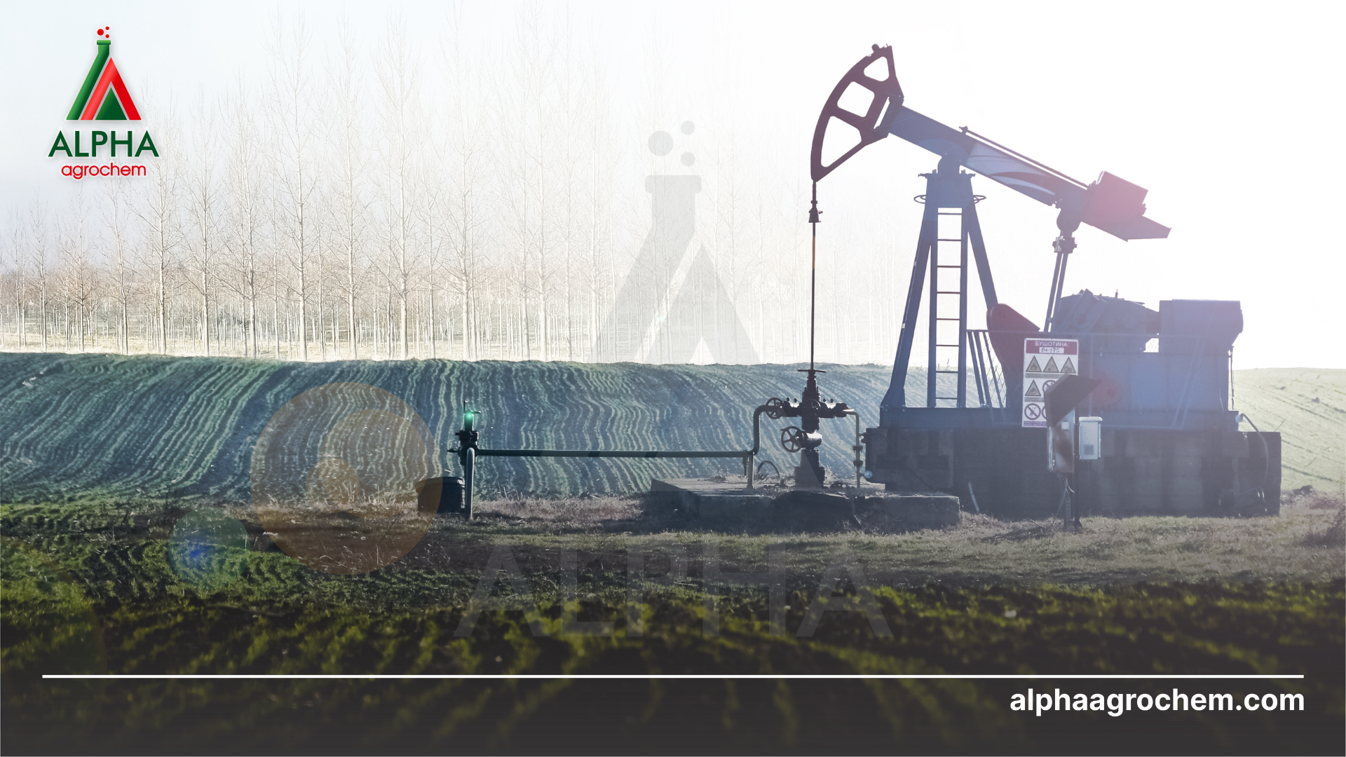 Nguồn gốc petroleum-oil