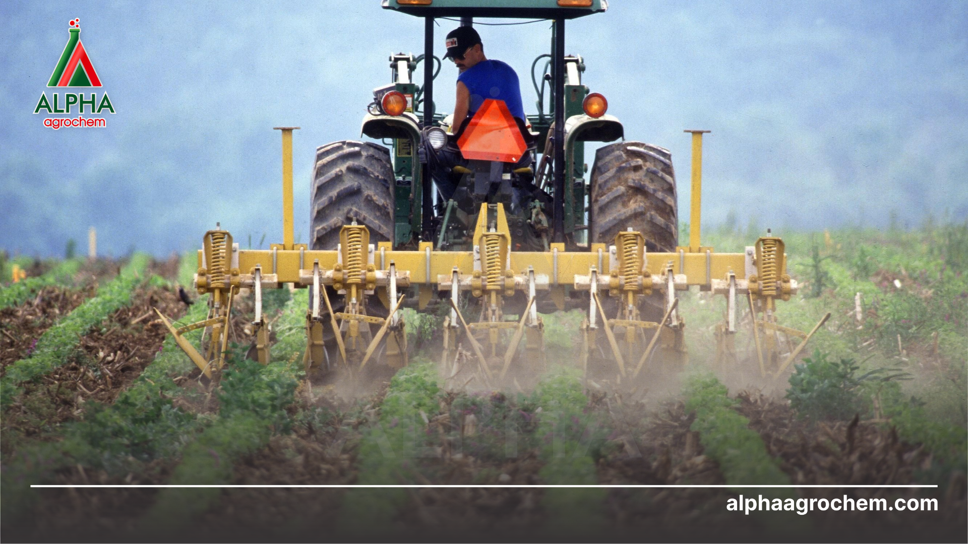 Nguyên tắc điều trị nấm rễ 