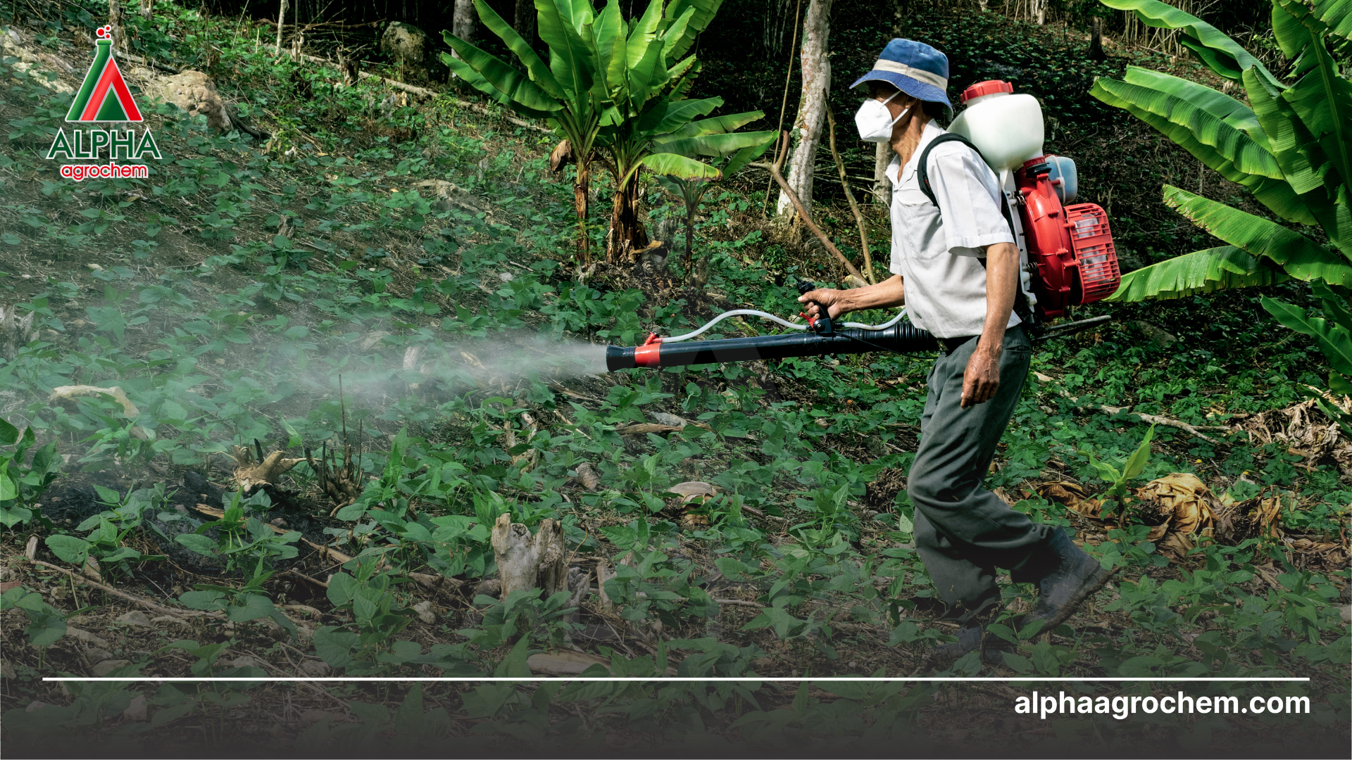 Những lưu ý khi chọn thuốc sinh học