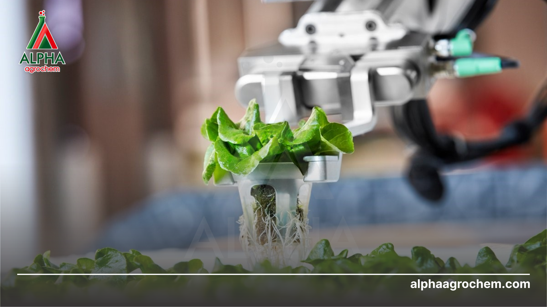 Nông nghiệp 4.0 là gì 