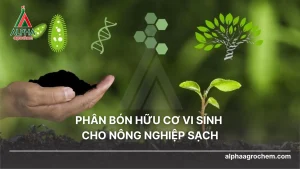phân bón hữu cơ vi sinh