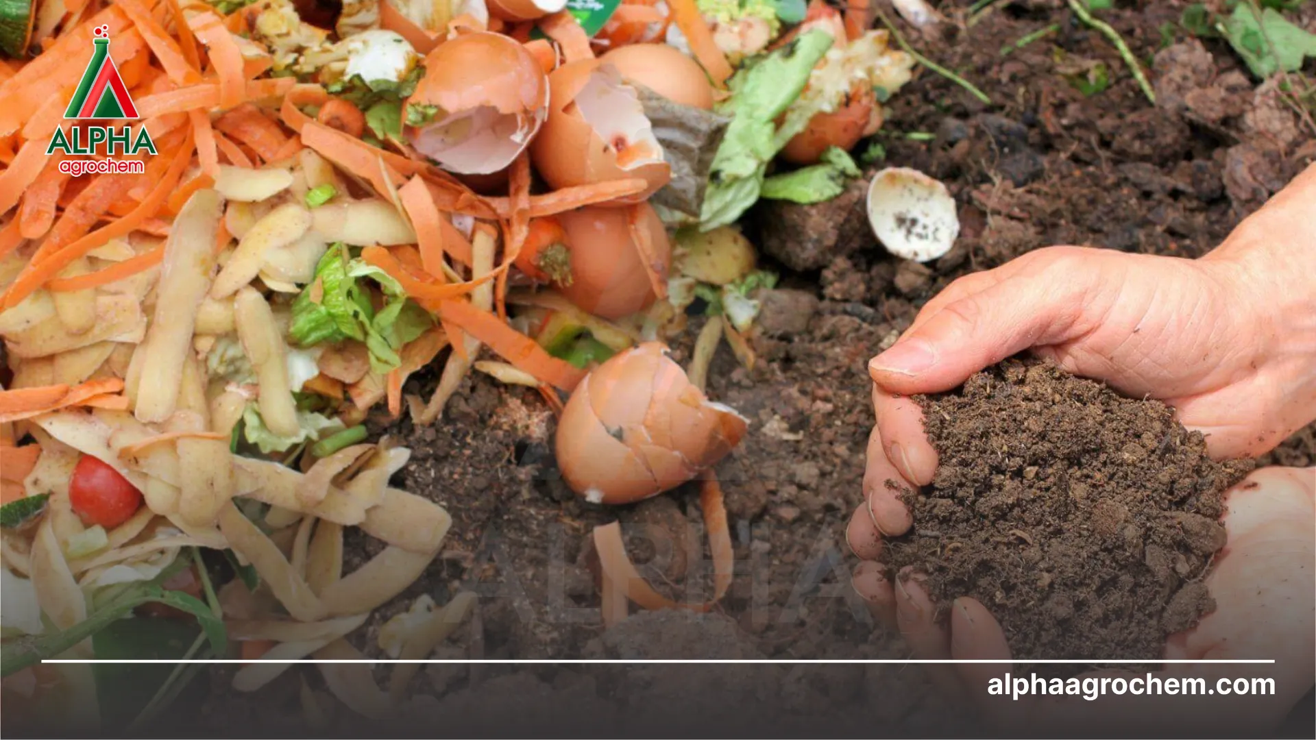 PBHCVS vi sinh là gì?